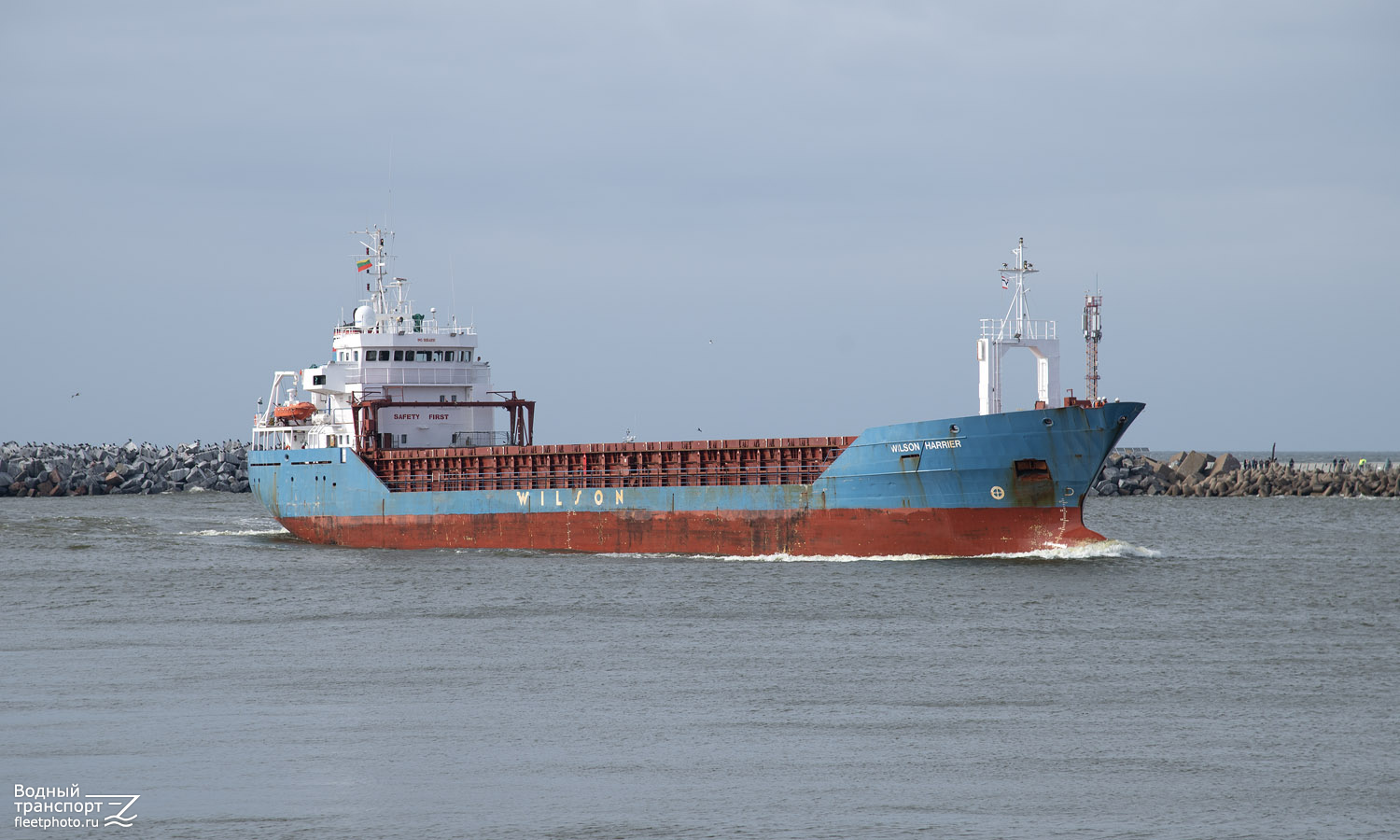 Wilson Harrier