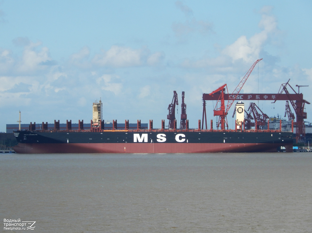 MSC Florence XV