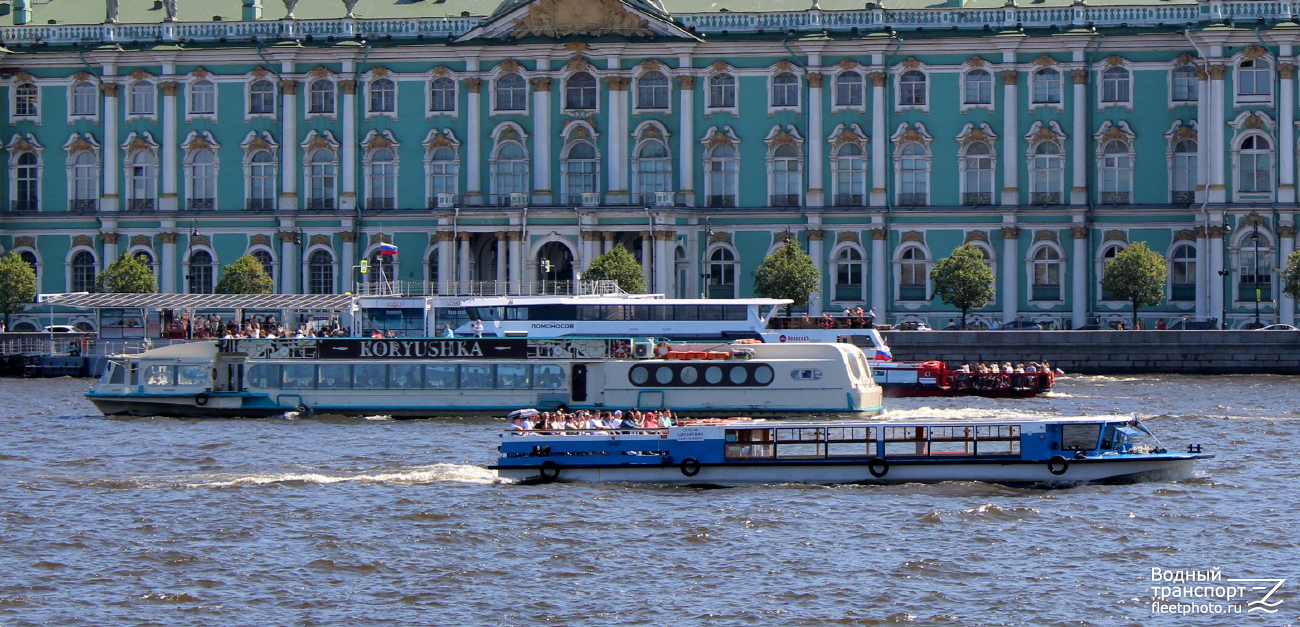 Корюшка, Цесаревич
