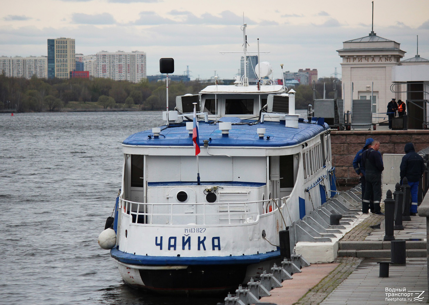 Чайка