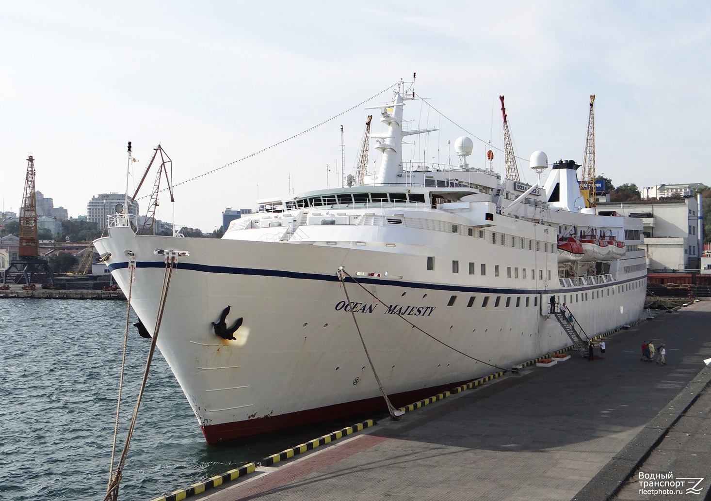 Ocean Majesty