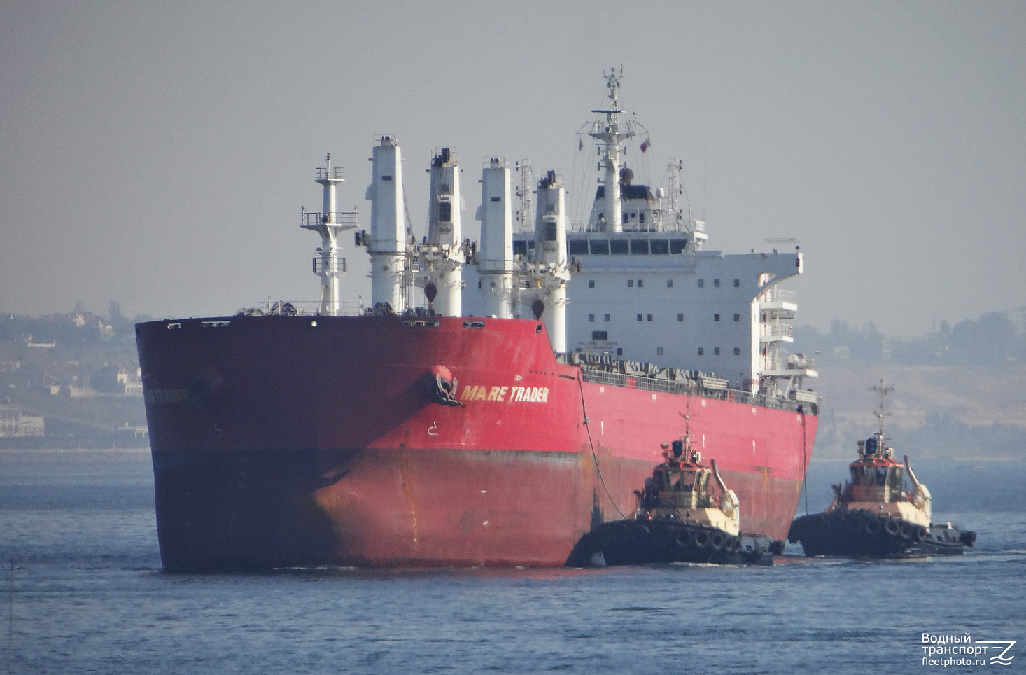 Mare Trader, Патриот, Булат