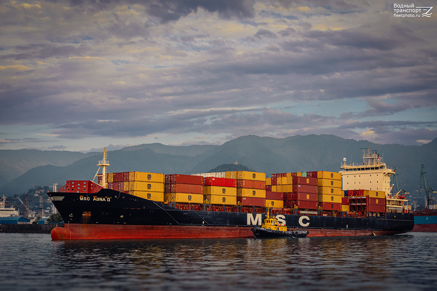 MSC Agna II, Komissar Kvachantiradze