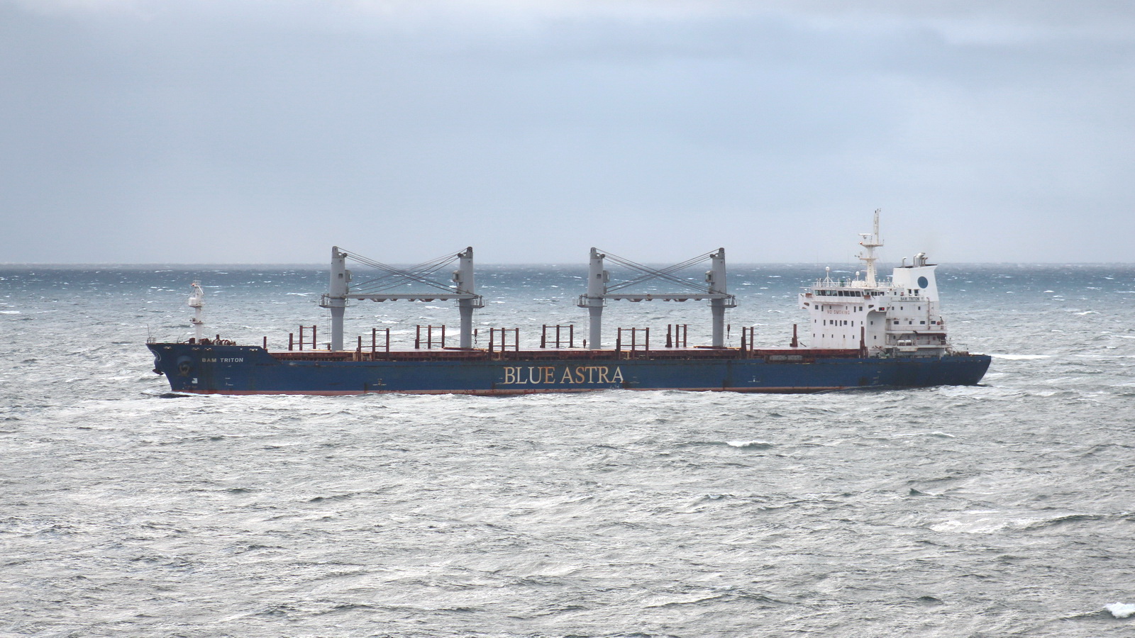 BAM Triton
