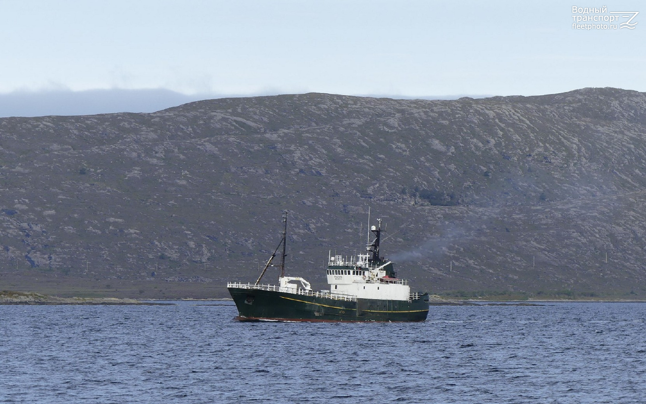 Polynya