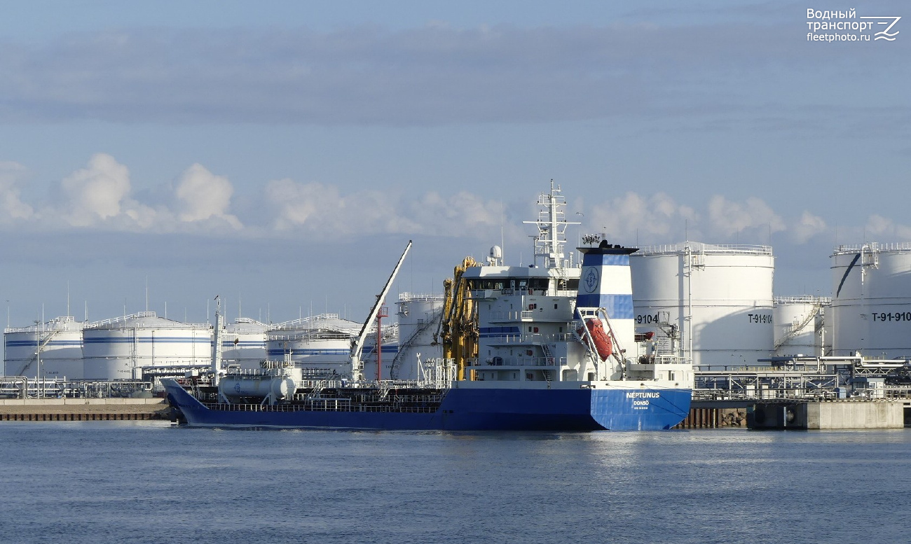 Neptunus