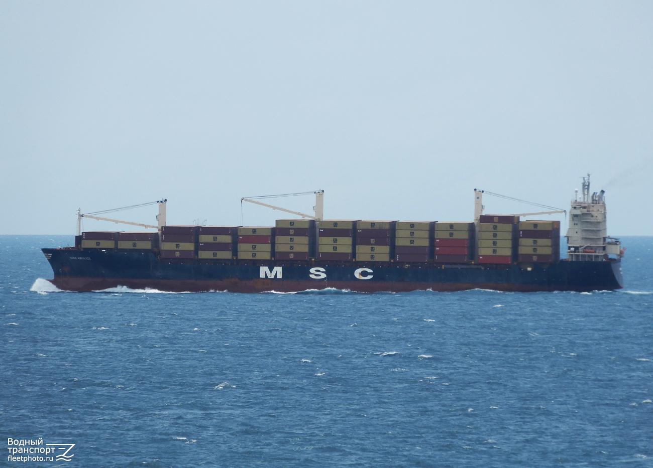 MSC Aria III