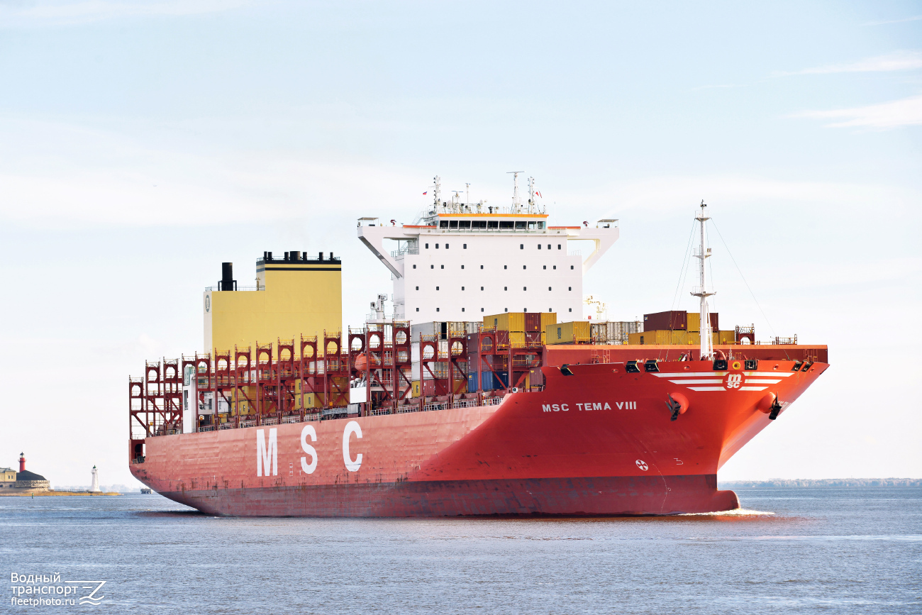 MSC Tema VIII