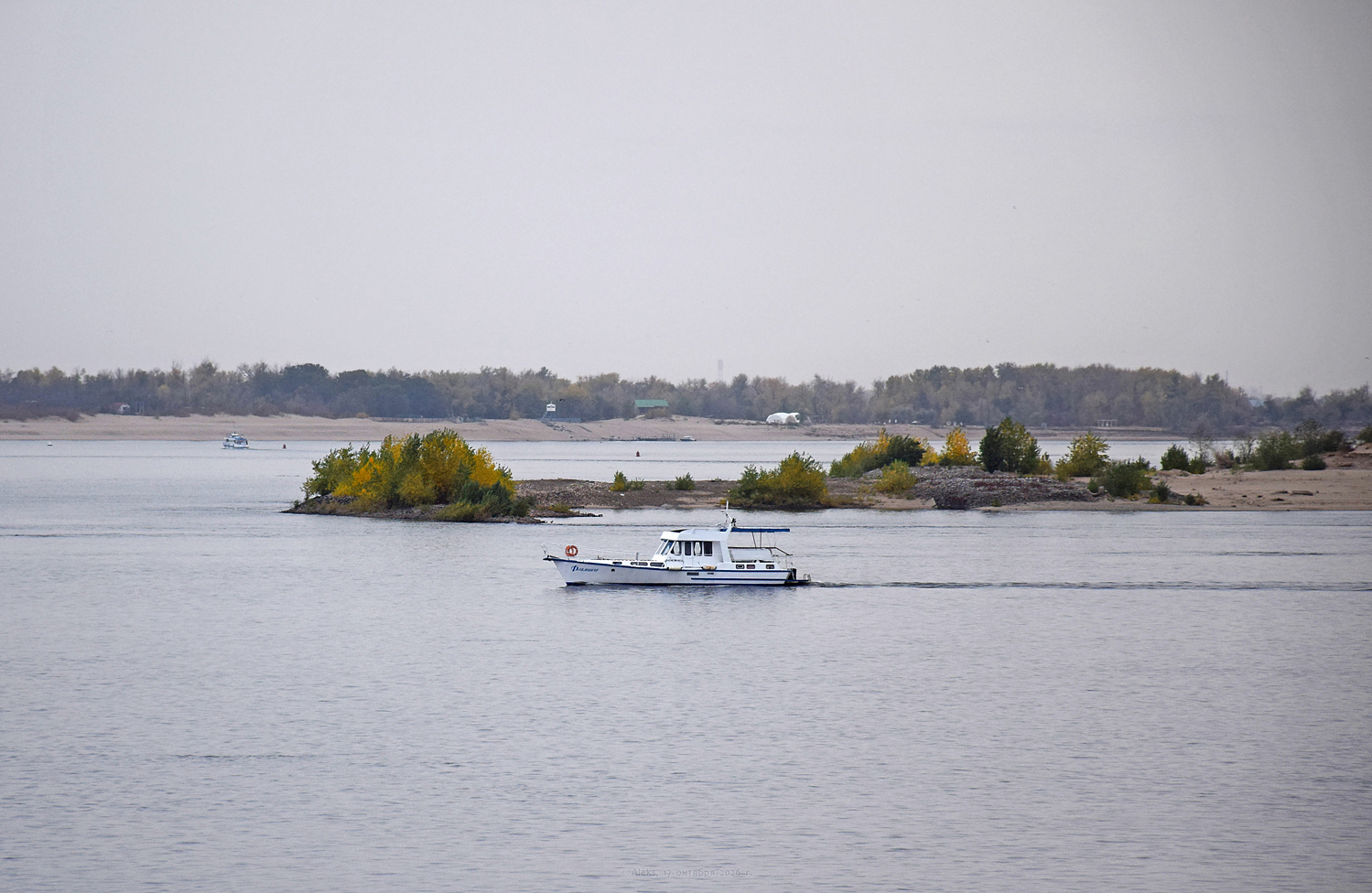 Фламинго
