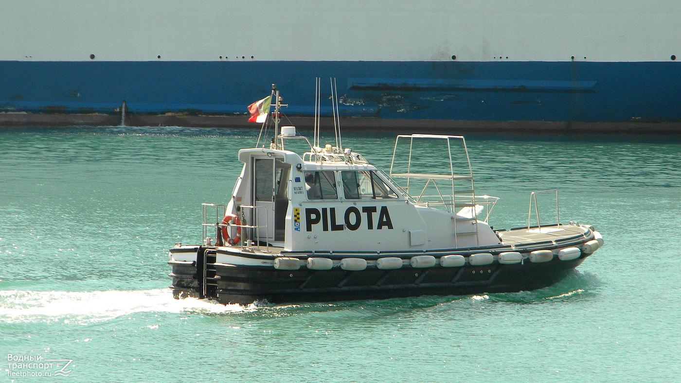 Pilota