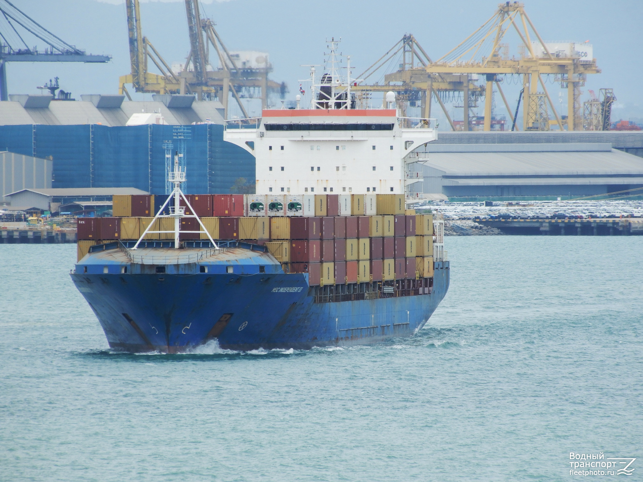 MSC Independent III
