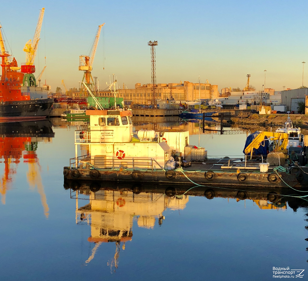 Мультикат-241