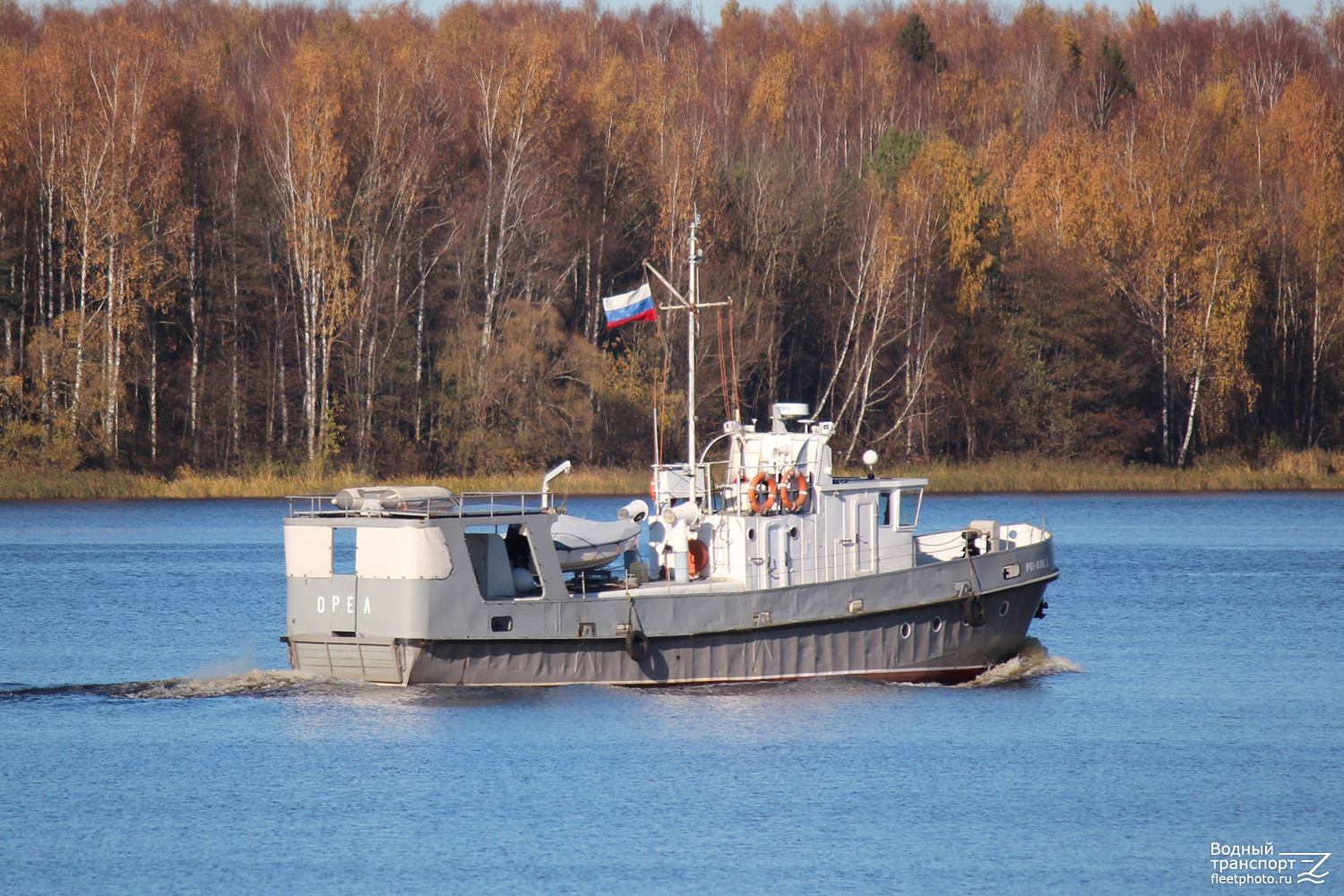 Орёл