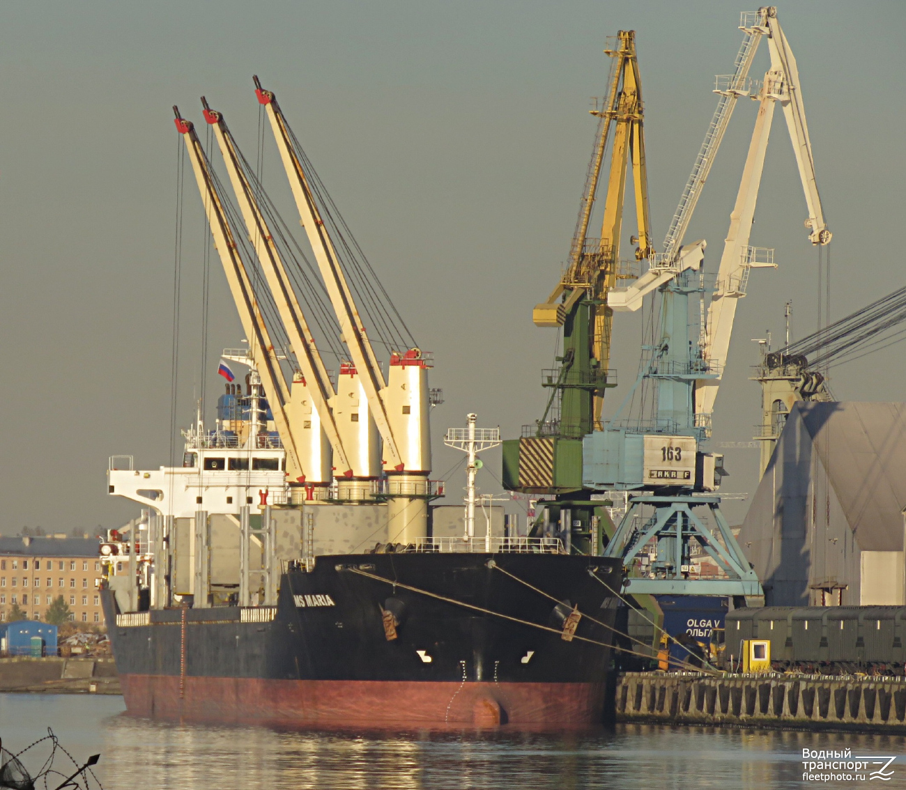 MS Maria