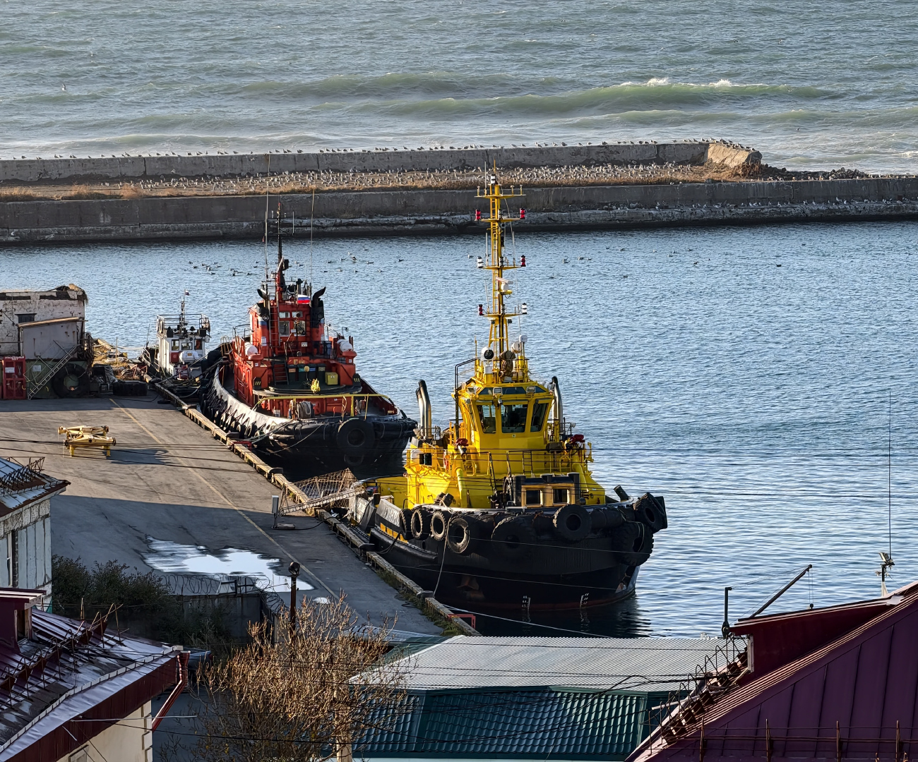 Григорий Поцигор, Манорский, РБТ-224