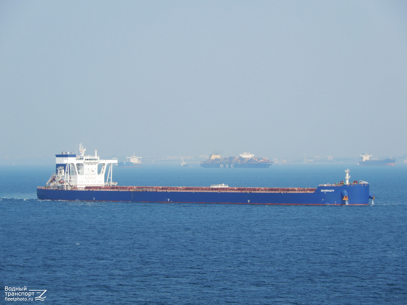 Seabeauty