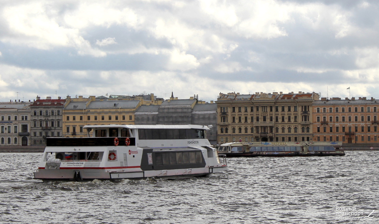 Ломоносов, Ряпушка
