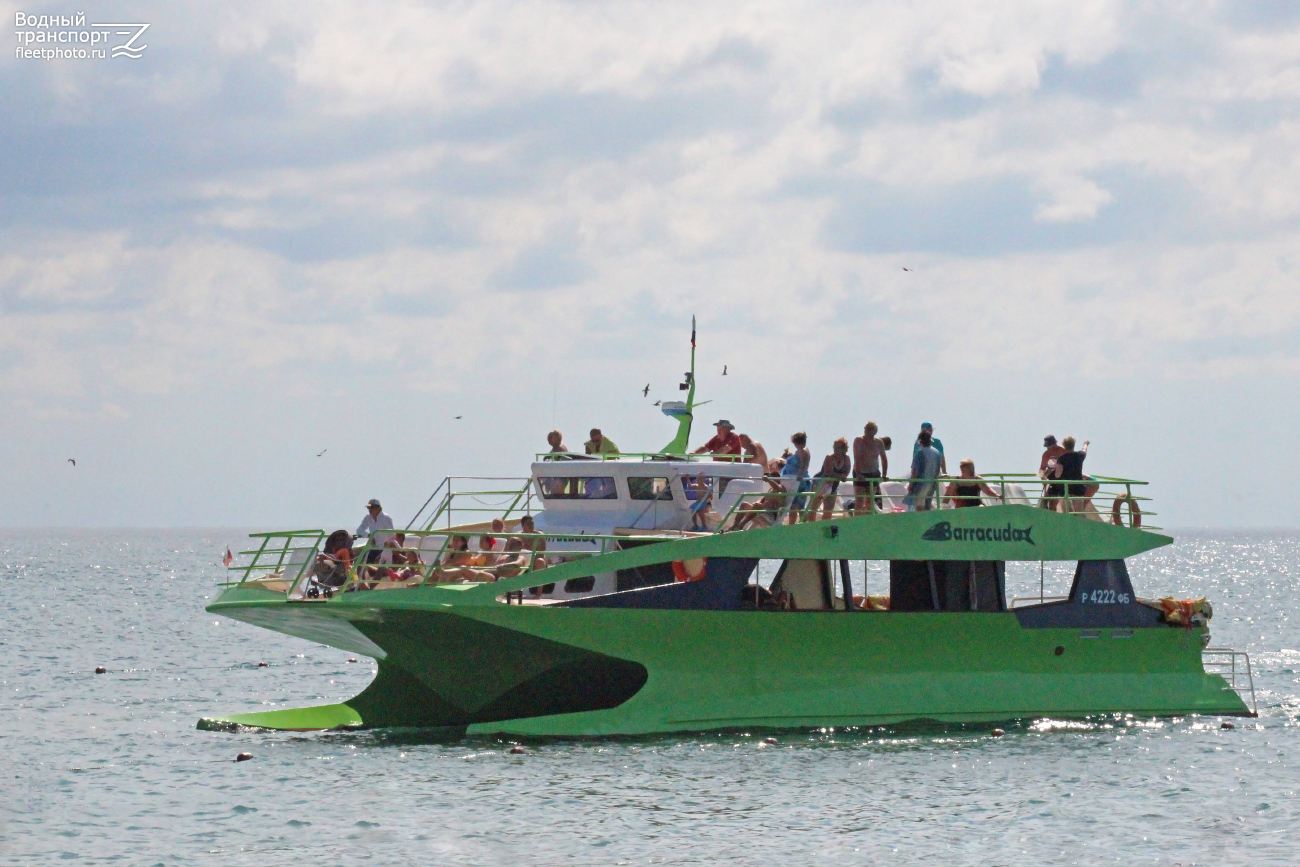 Barracuda