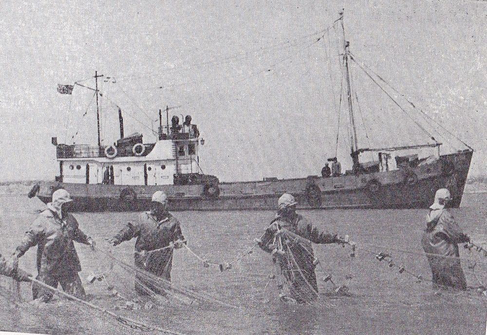 Unidentified ships, Книги, фотоальбомы и периодические издания