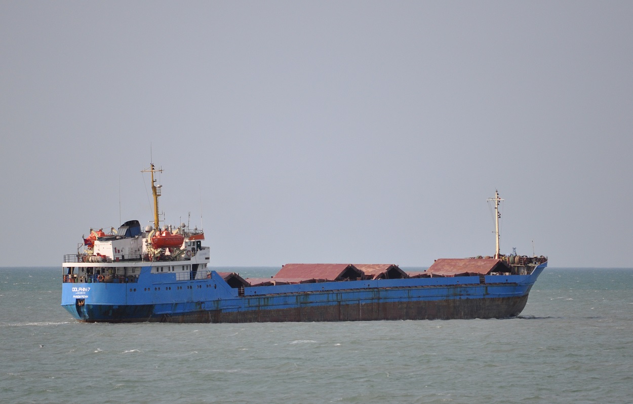 Dolphin-7