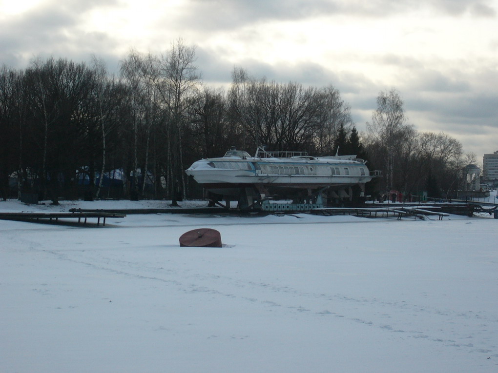 Беркут
