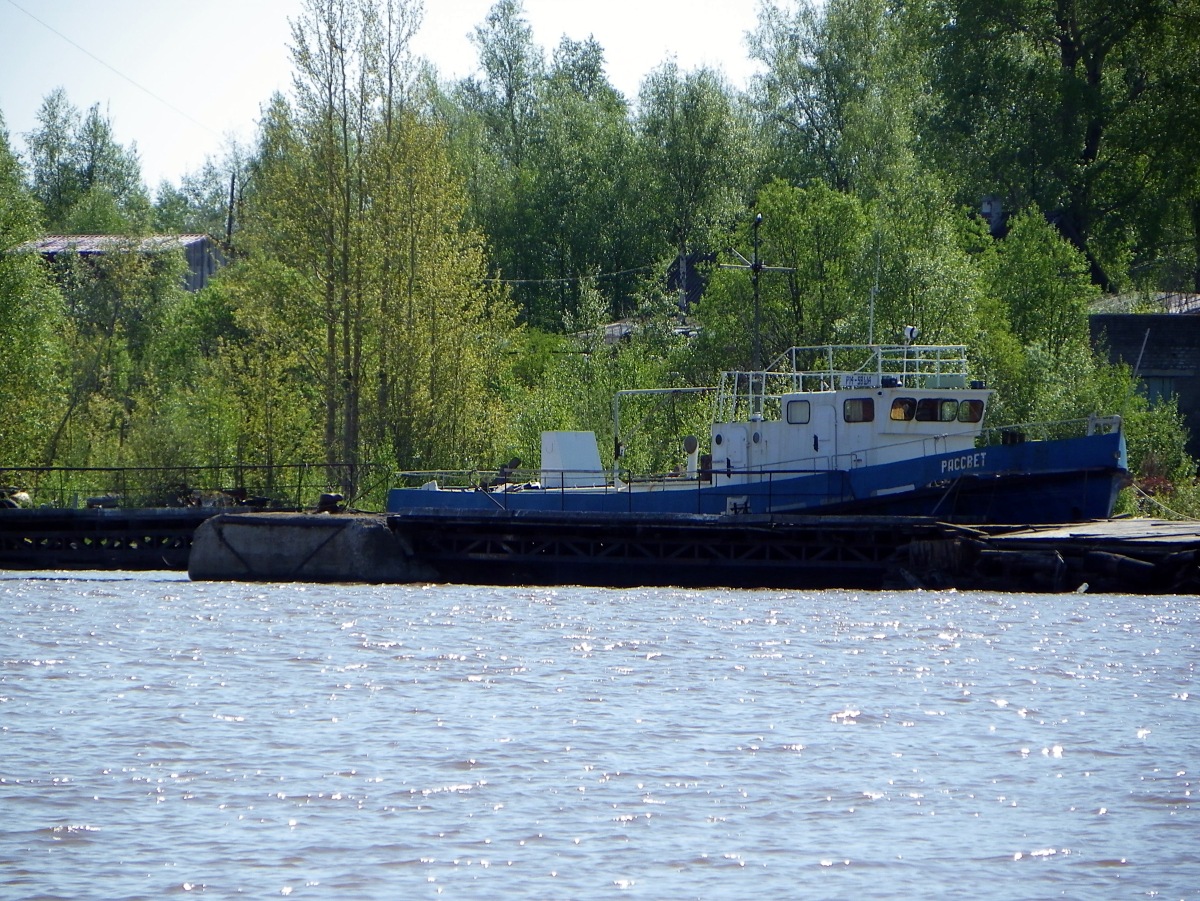 Рассвет