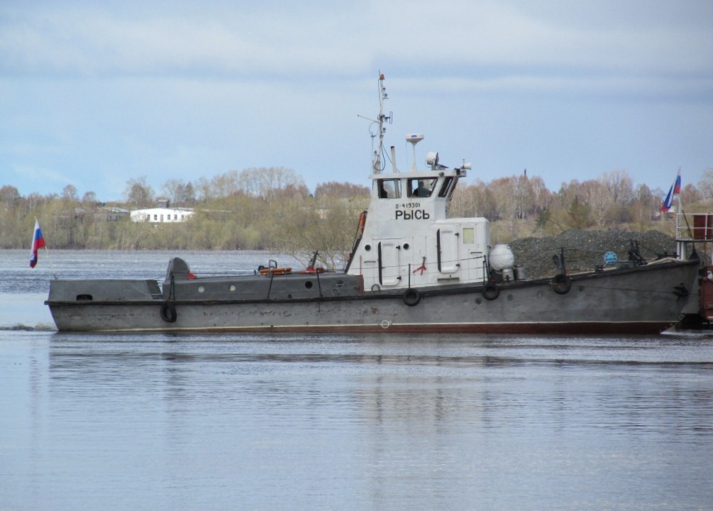 Рысь
