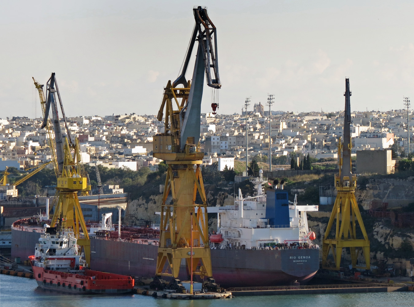 F. D. Incredible, Rio Genoa