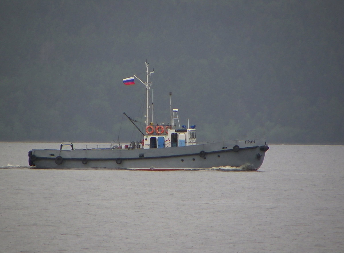 Грач