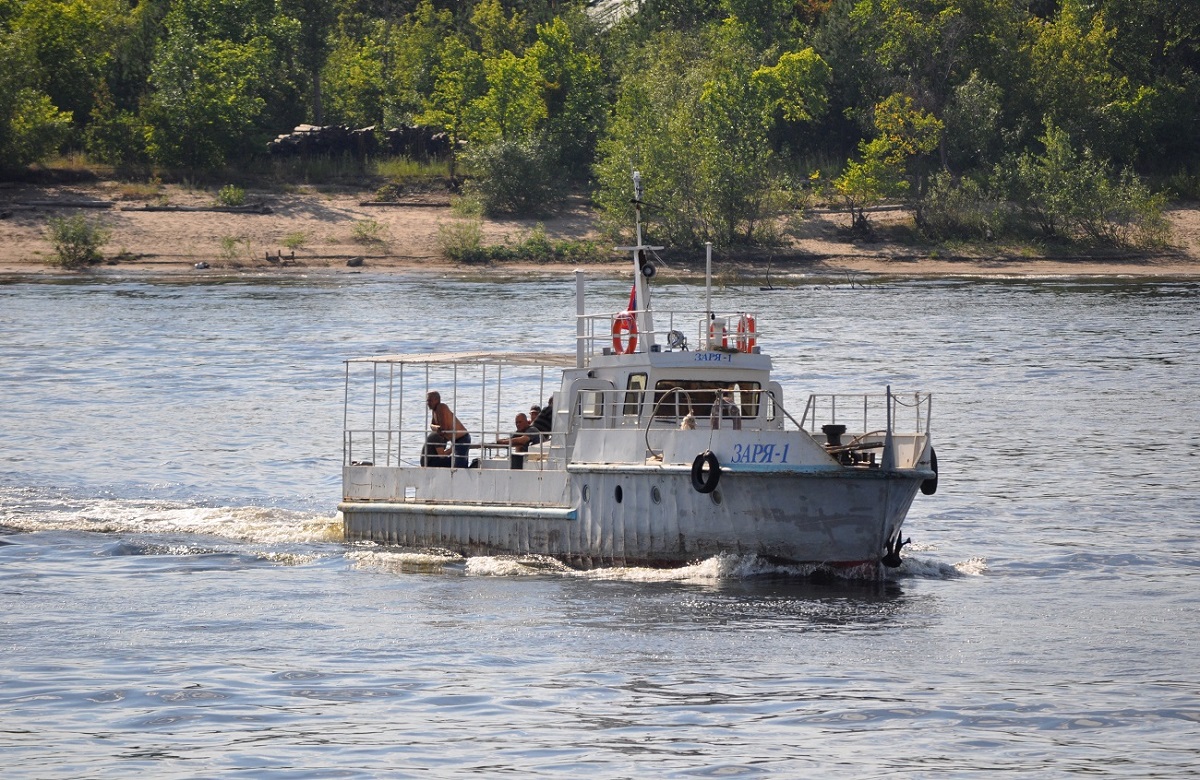 Заря-1