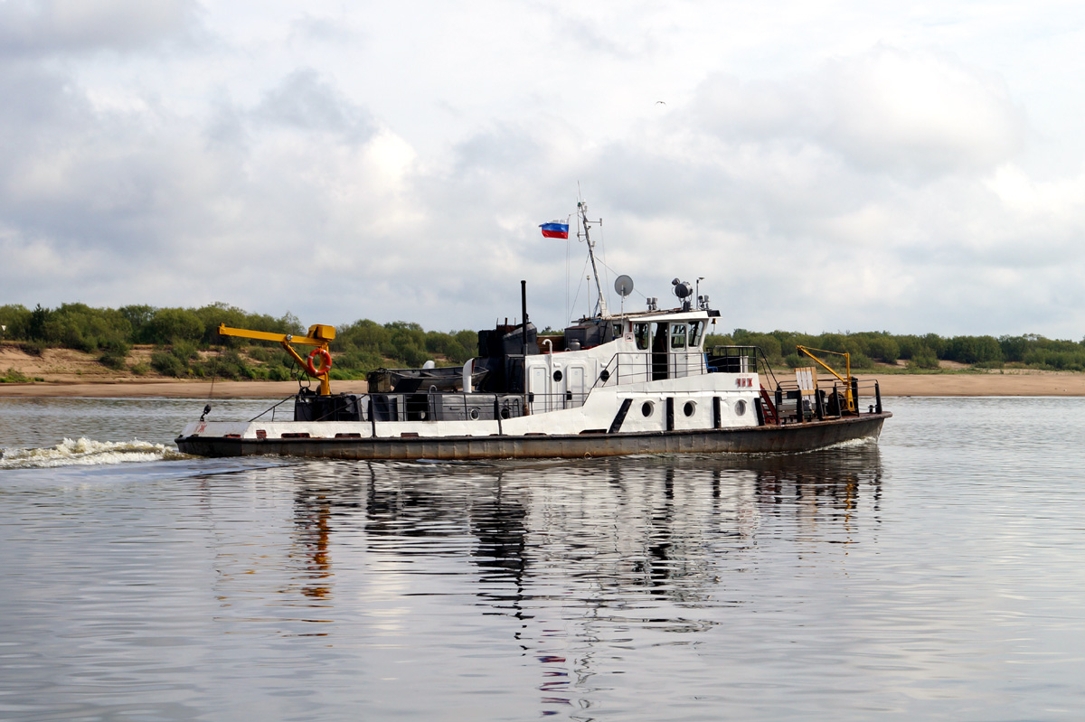 Чиж