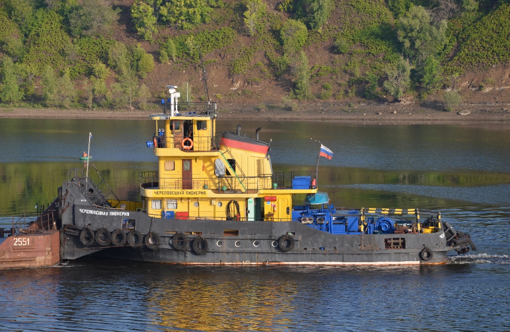 Череповецкая пионерия