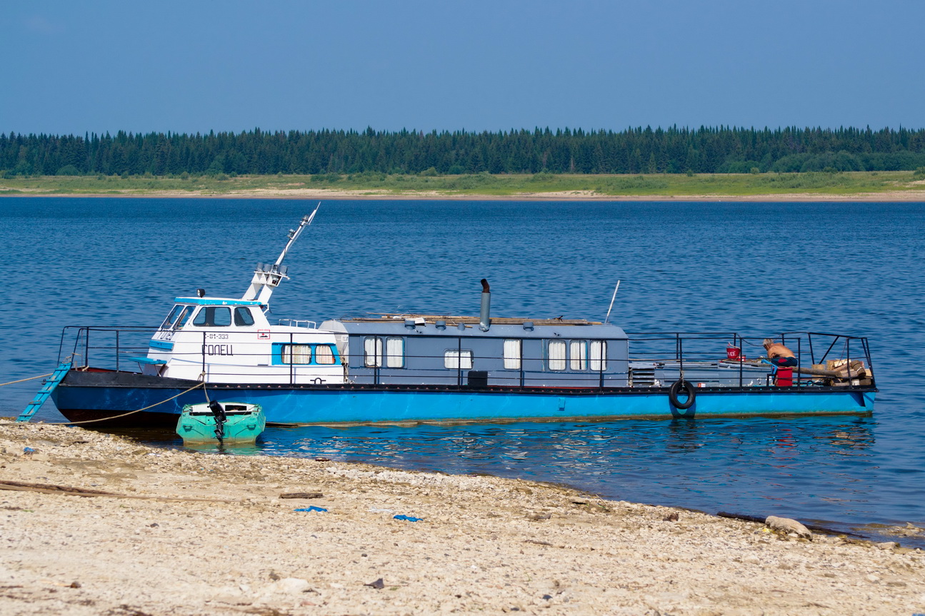 Голец