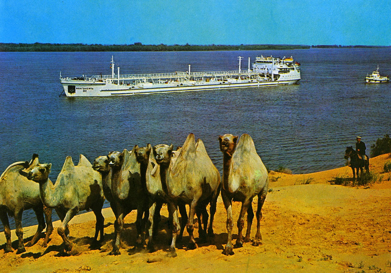 Волгонефть-112. Книги, фотоальбомы и периодические издания