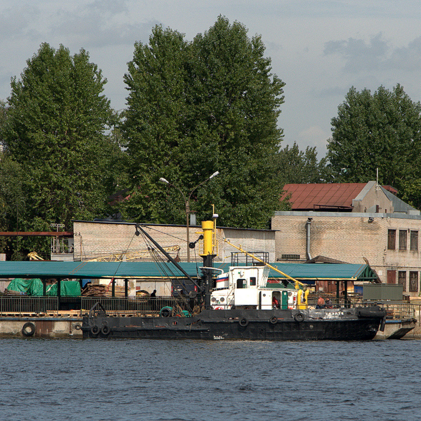 Скулте