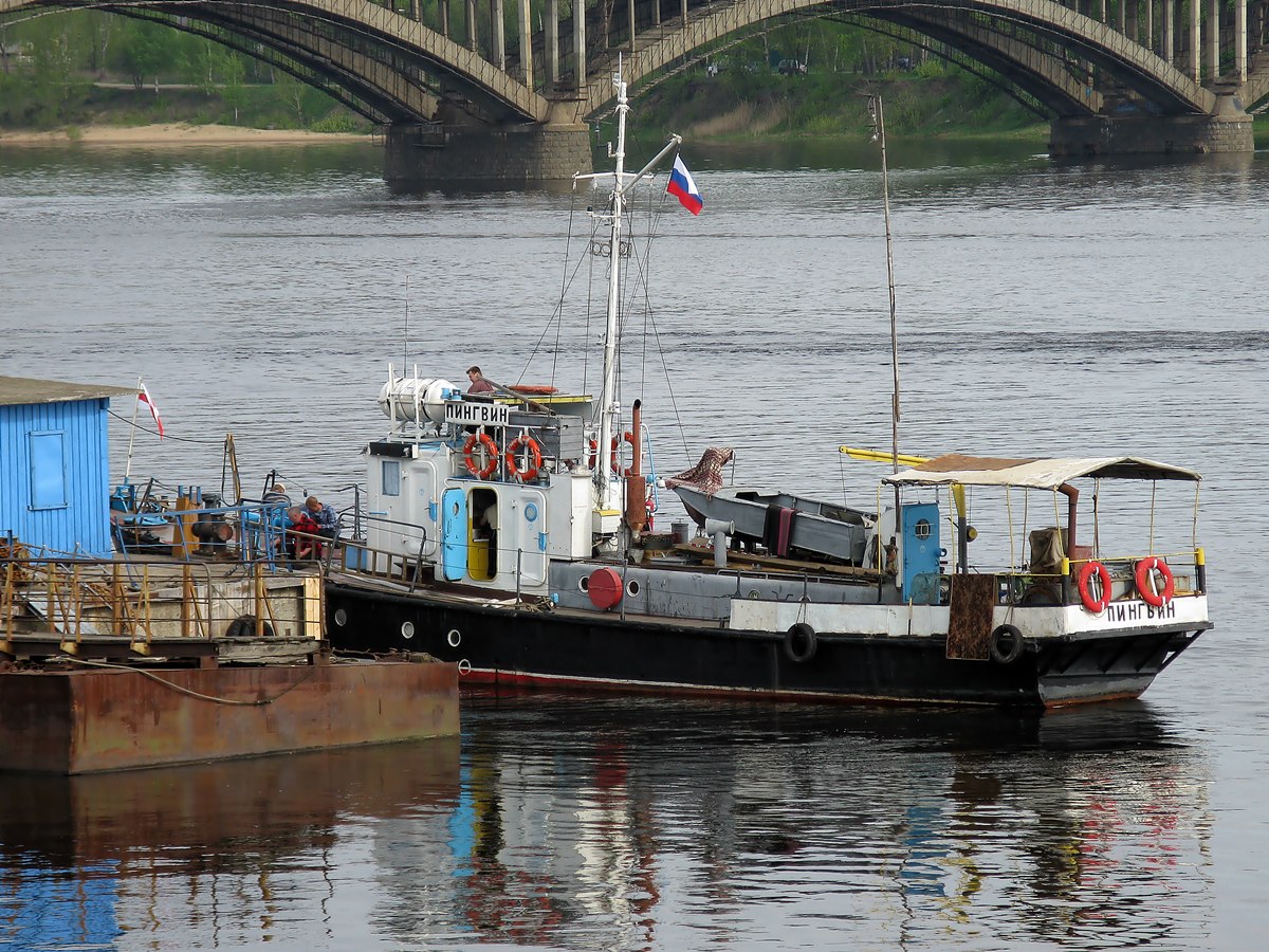 Пингвин