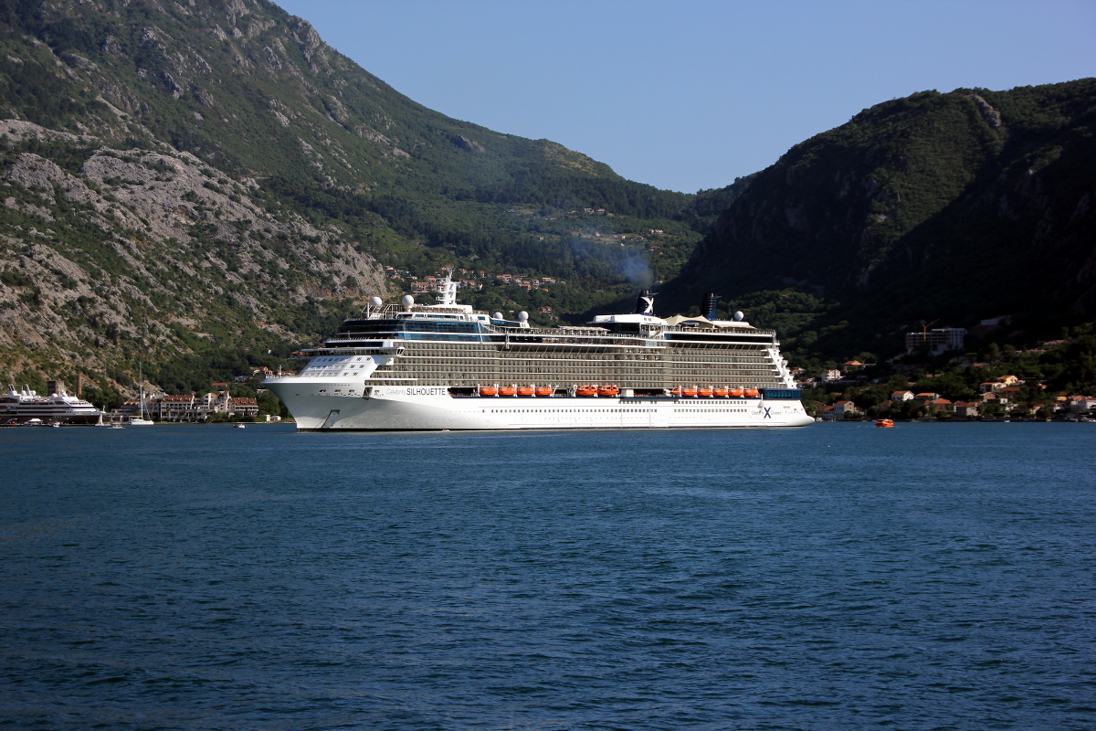 Celebrity Silhouette