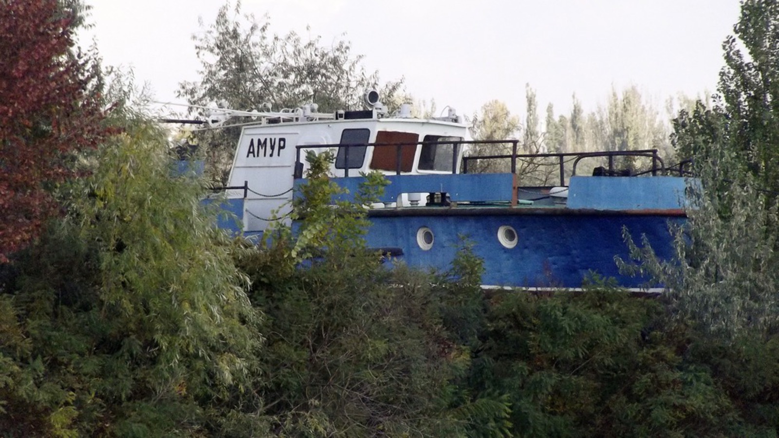 Амур