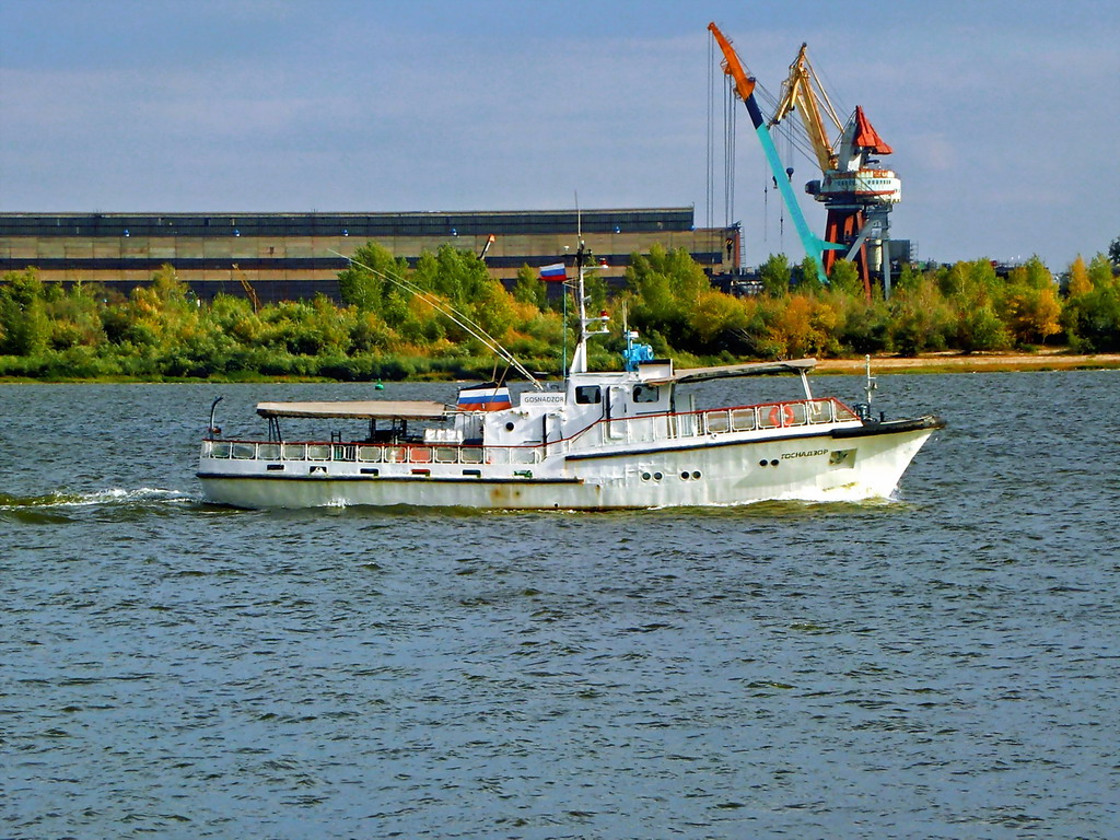Госнадзор