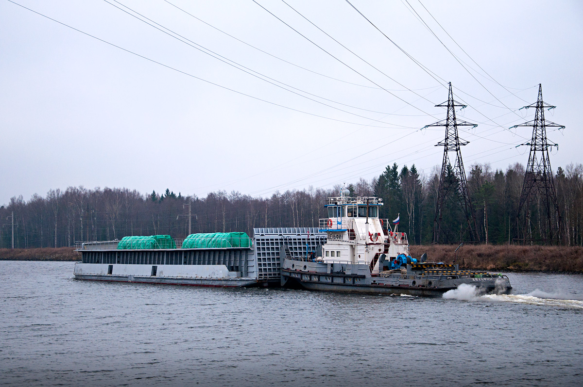 3226, Дельфин