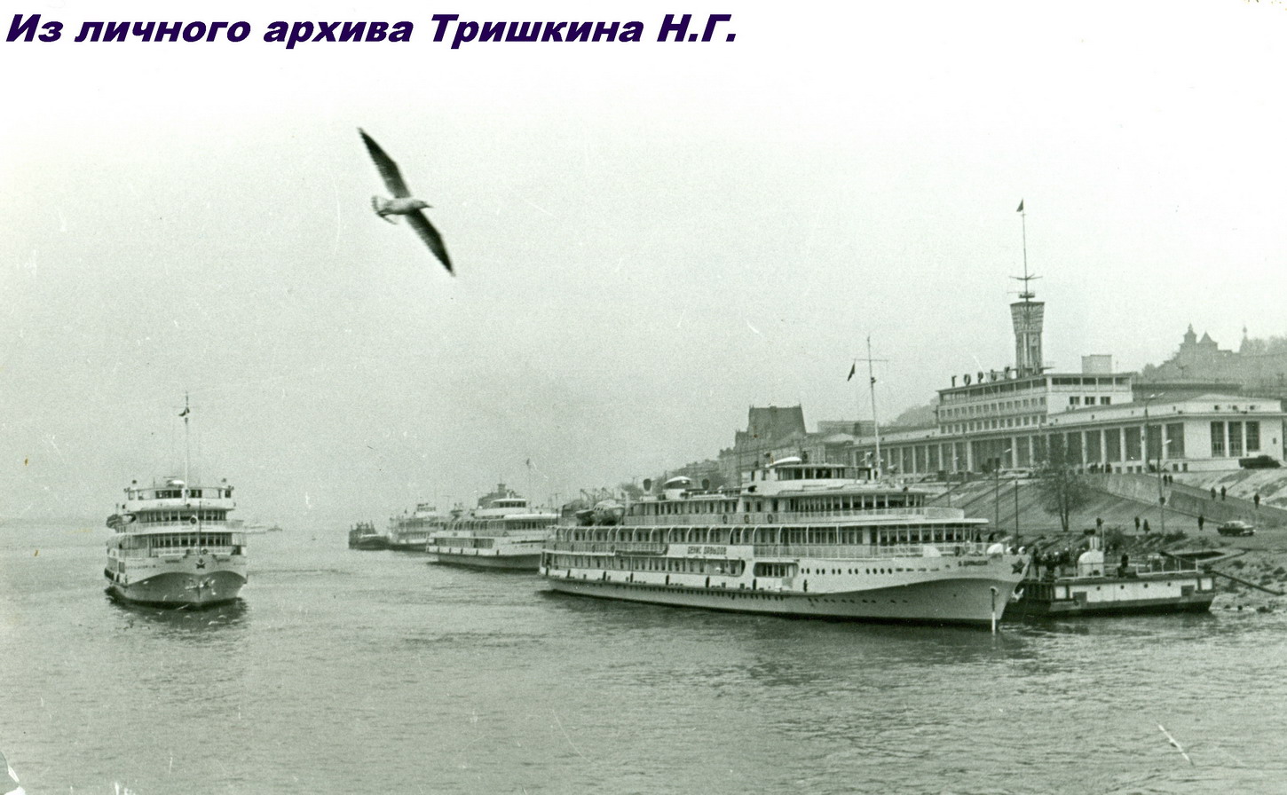 Денис Давыдов