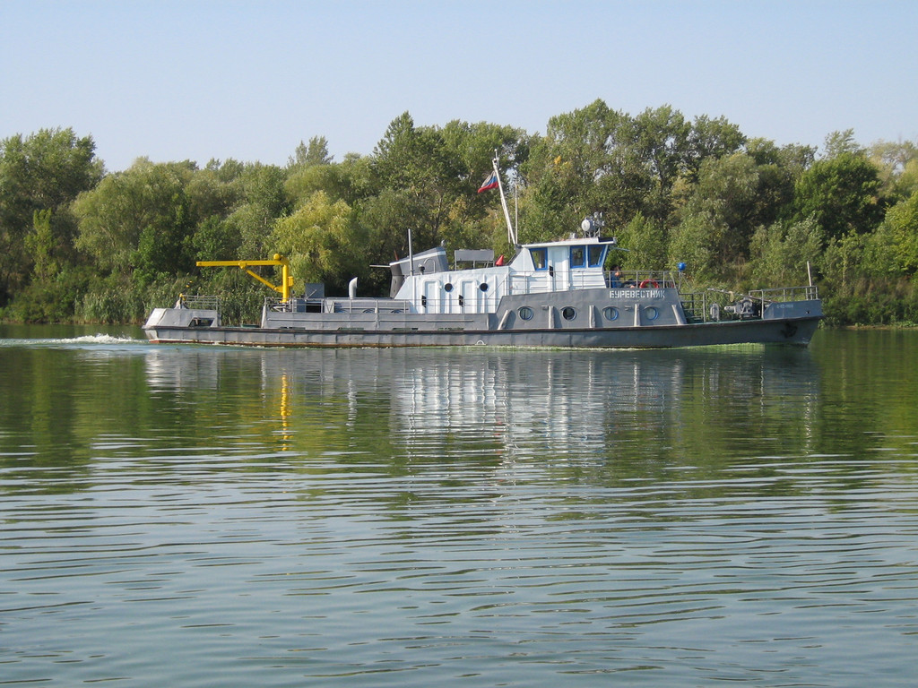 Буревестник