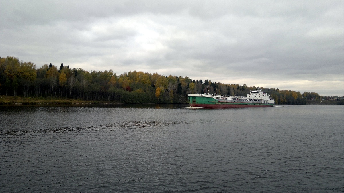 Лама