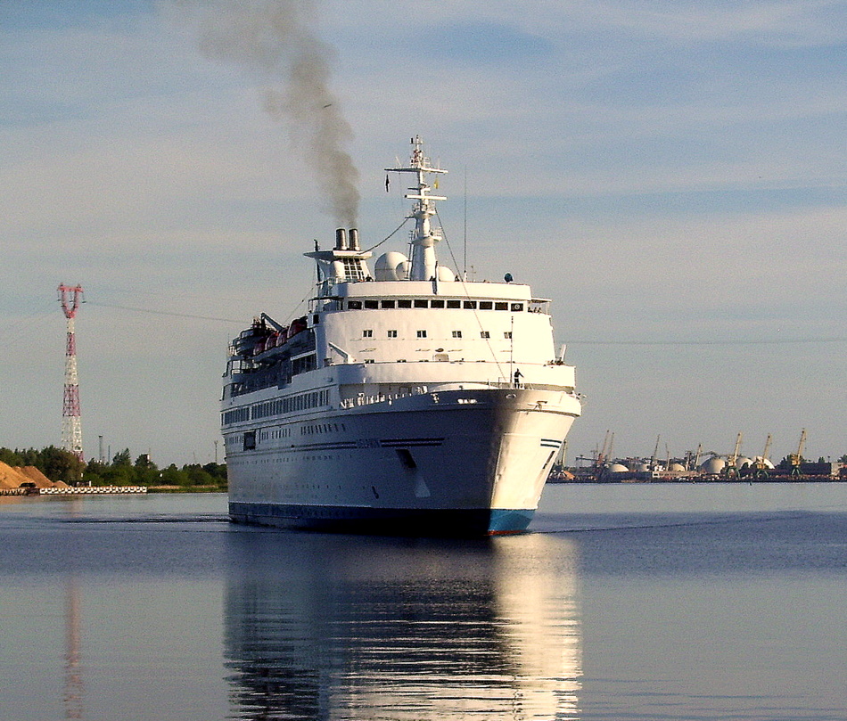 Delphin