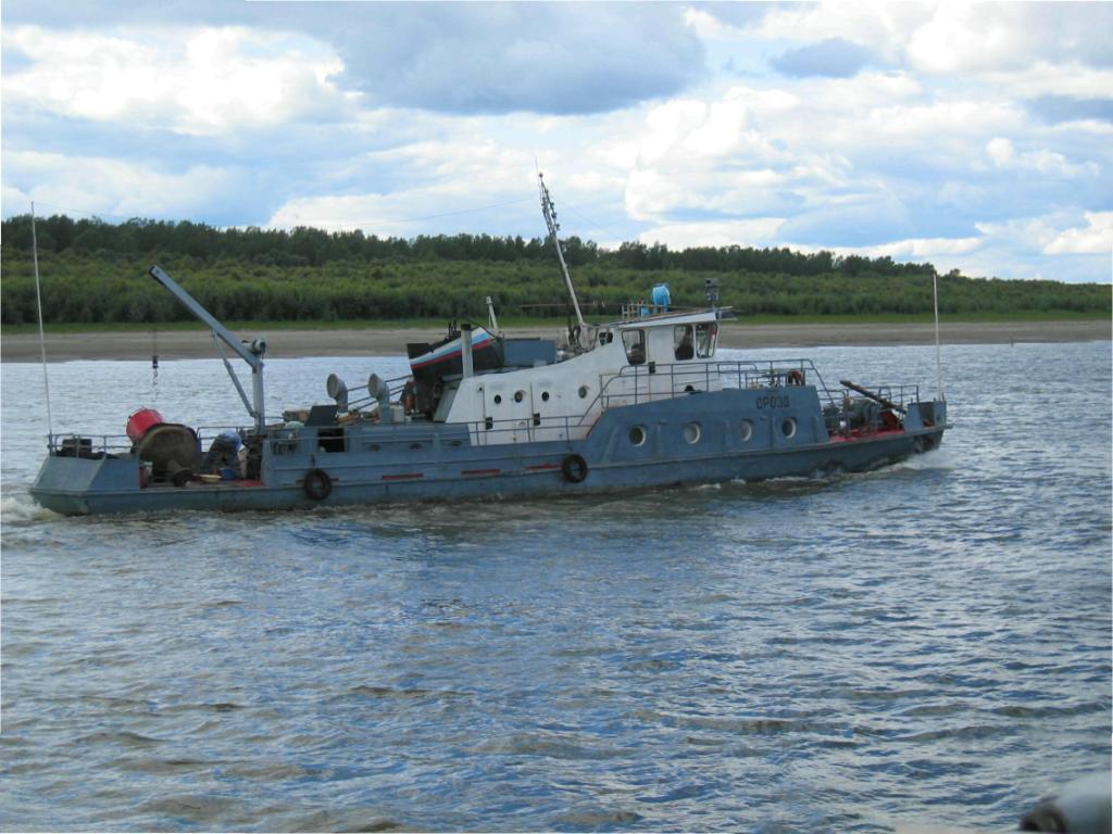 Дрозд