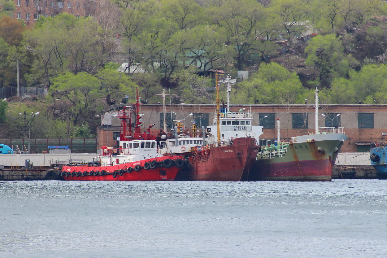 Дубровник, Дальстрой, Yuko Maru