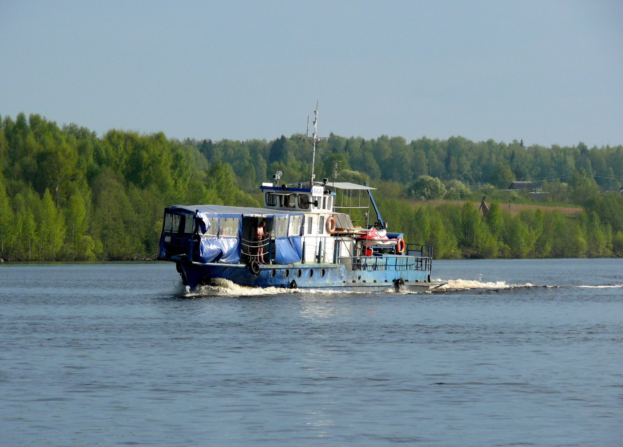 Бекас