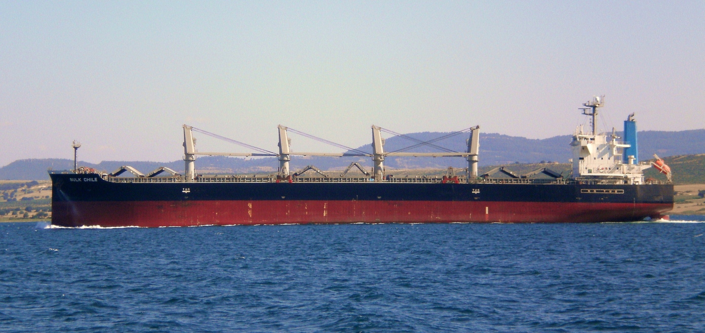 Bulk Chile