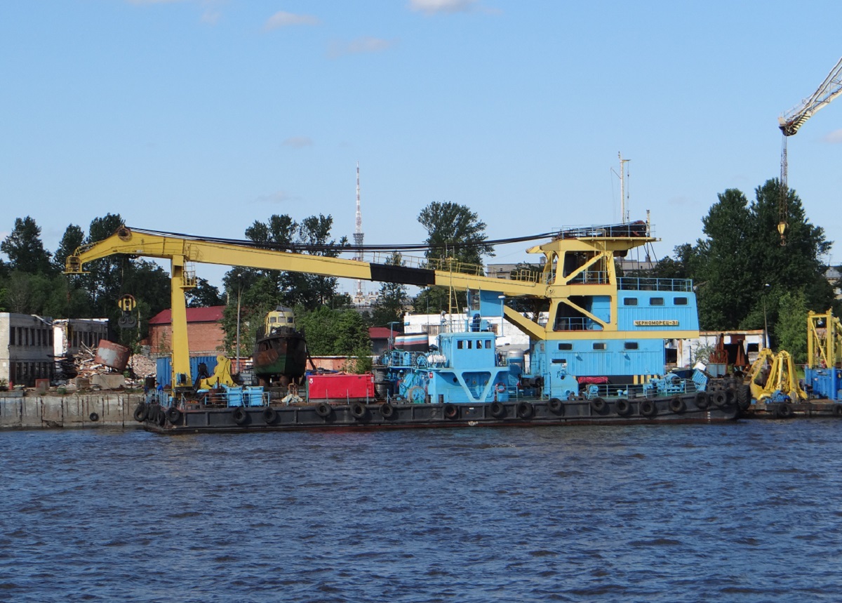 Черноморец-31