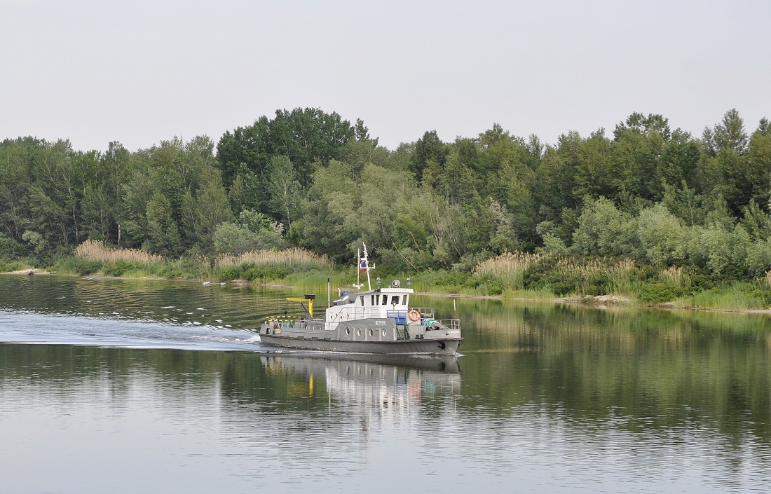 Ястреб
